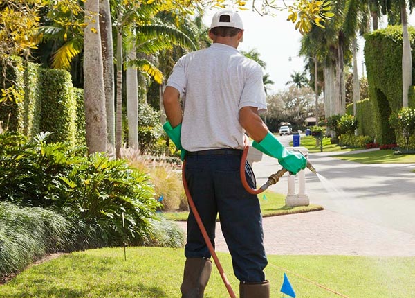About Bristol SD Pest Control